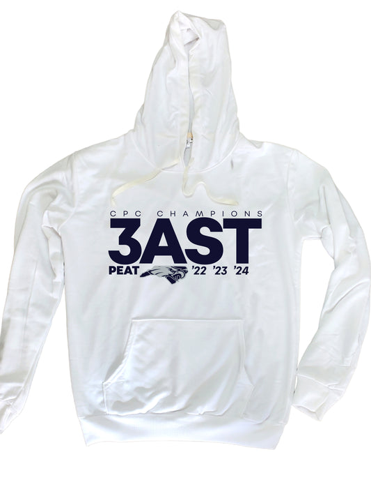 2024 Central Piedmont Regional Champions EFHS Eagles 100% white polyester hoodie (Copy)